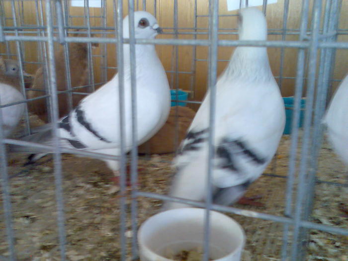 Imag023