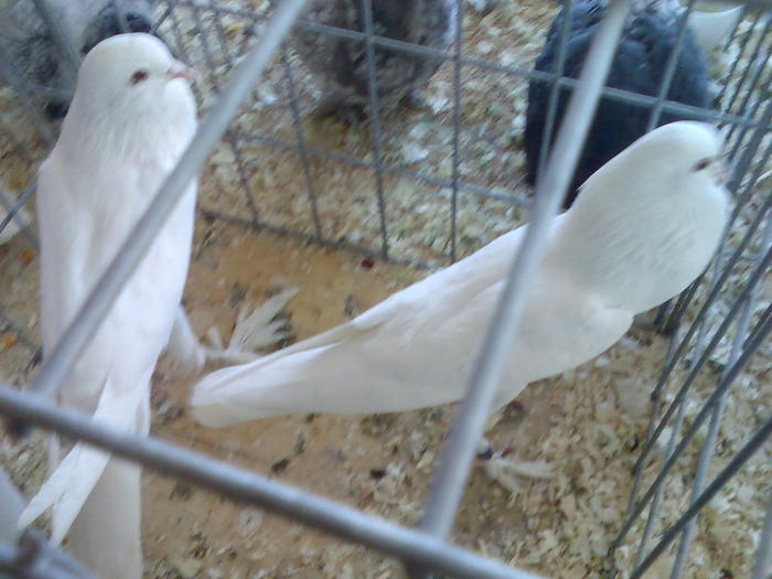 Imag034
