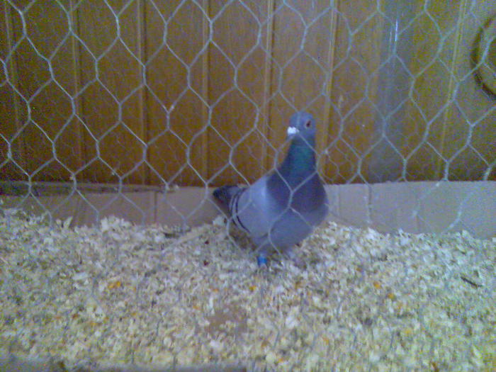 Imag038