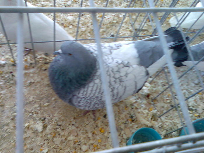 Imag039