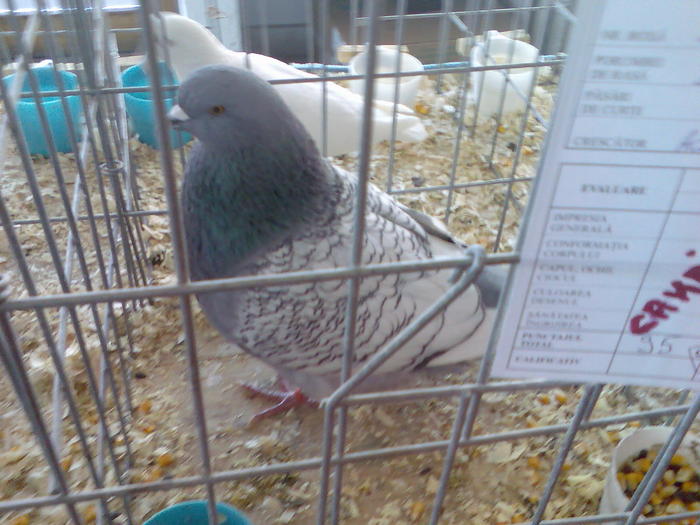 Imag042
