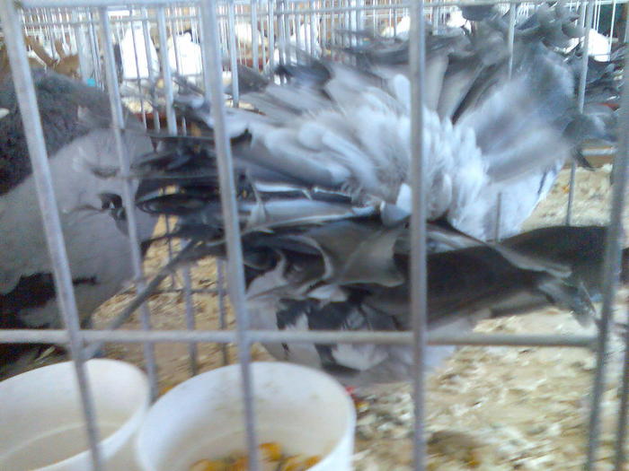 Imag044