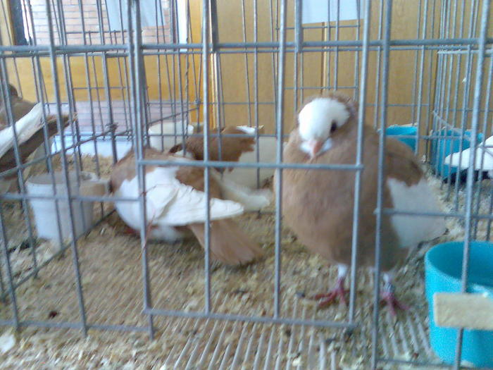 Imag050