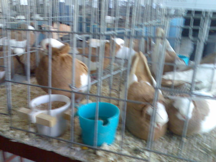 Imag051