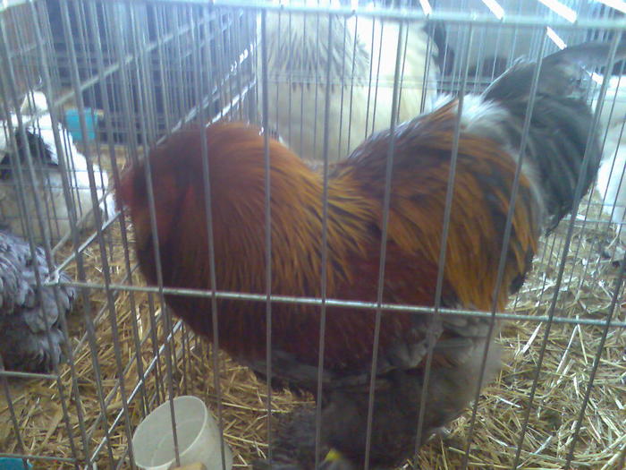 Imag056