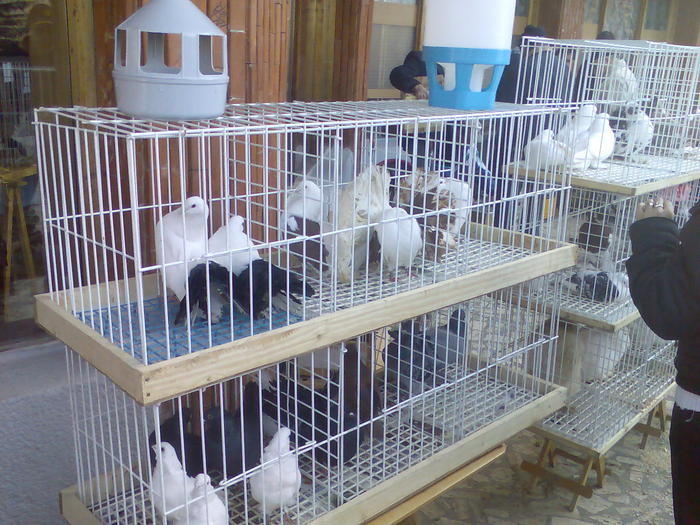 Imag075