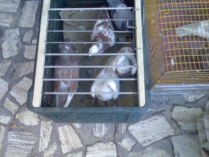 Imag079