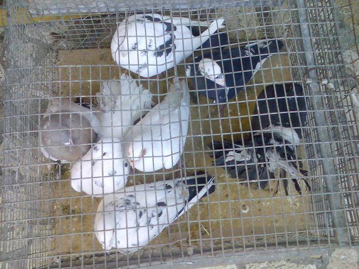 Imag080