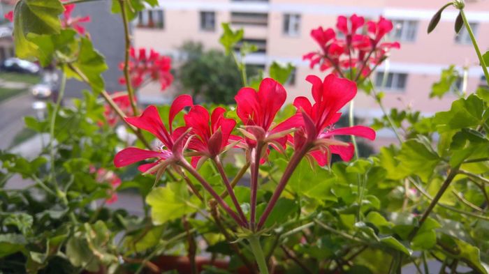 received_1082072141875656