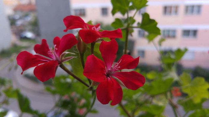 received_1082072115208992