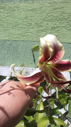DSC05970