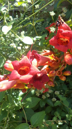 DSC05971