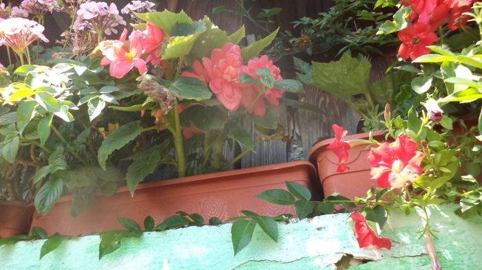 DSC05979