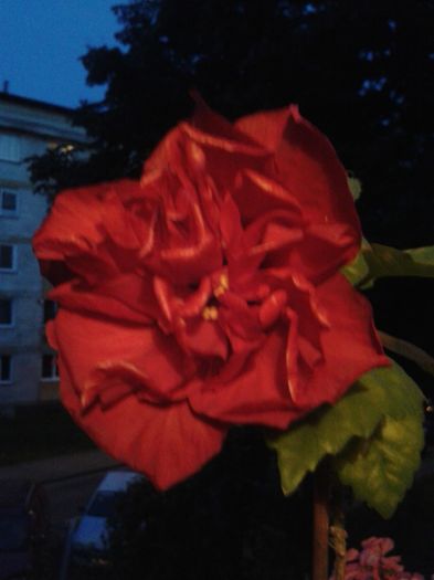 20160630_214518