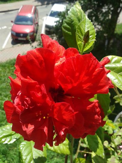 20160701_115633