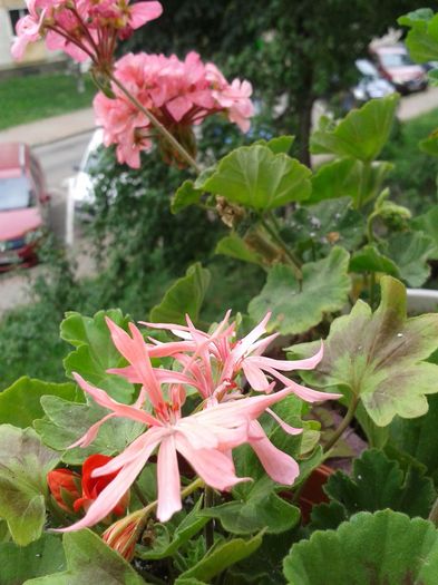 20160703_190924