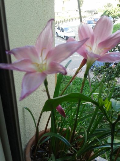 20160704_183145