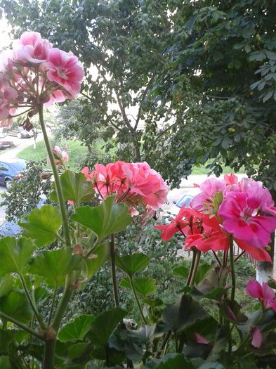 20160704_183150