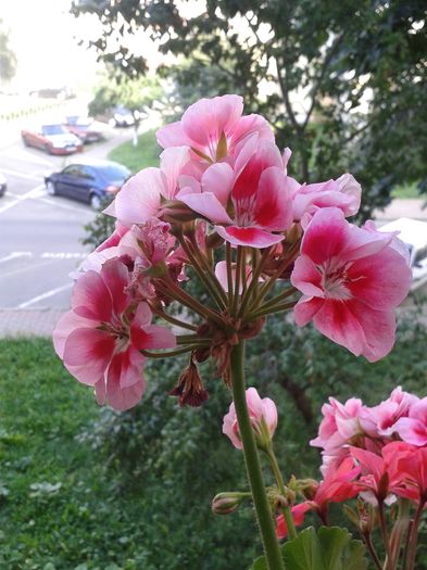 20160704_183156