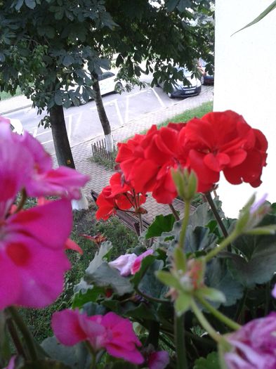 20160704_183224