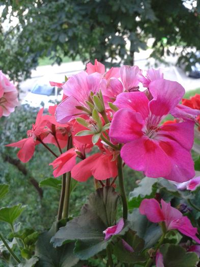 20160704_183227