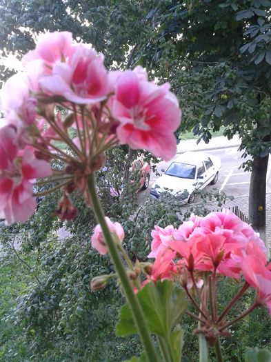 20160704_183230