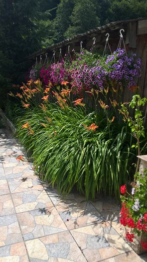 WP_20160710_11_07_27_Pro - Gradina 2016