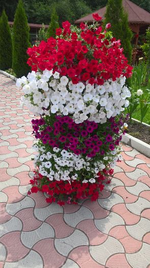 WP_20160706_13_21_44_Pro - Gradina 2016