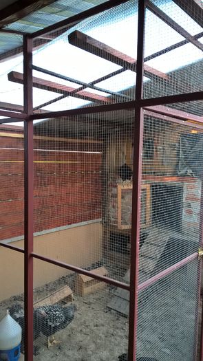 WP_20160708_19_58_32_Pro - H- Voliera