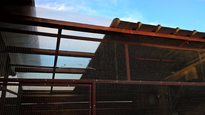 Policarbonat 10mm pentru a permite luminarea boxei - H- Voliera