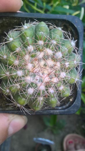 WP_20160710_13_48_14_Pro