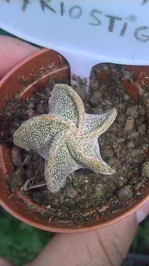 WP_20160710_13_44_50_Pro