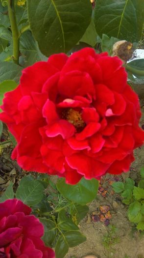 WP_20160710_14_11_09_Pro (2)