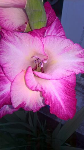 WP_20160707_20_47_43_Pro