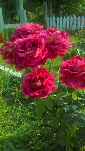 WP_20160623_18_15_59_Pro