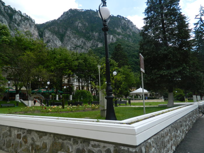 DSCN2033