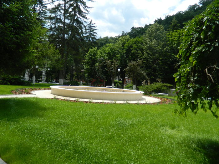 DSCN2036