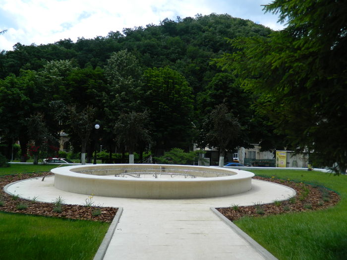 DSCN2037