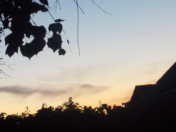 DSCN0695[1] - apus de soare