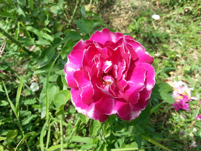 20160709_120452