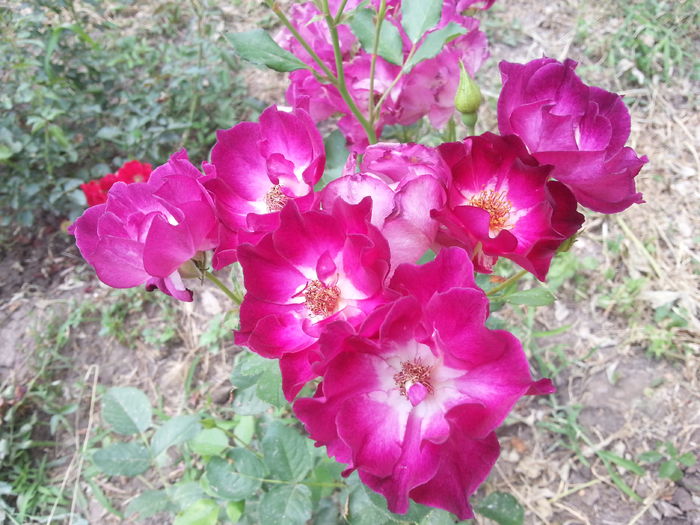 20160709_185119