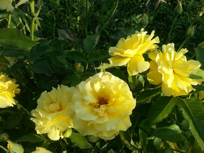20160709_184401