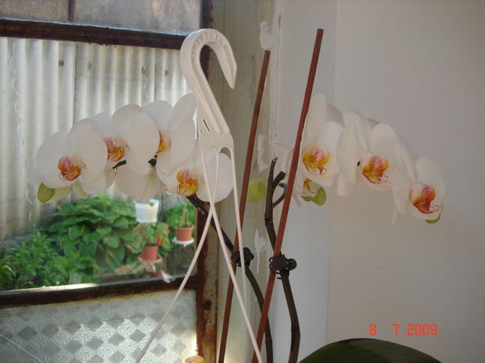 DSC05249
