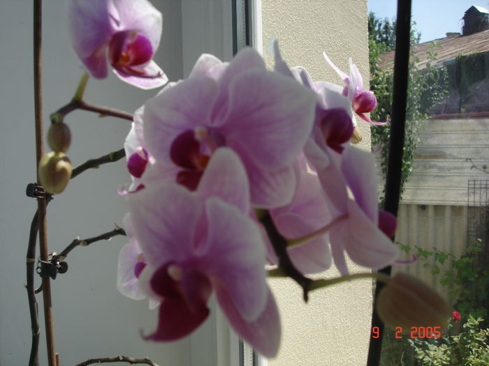 DSC07785