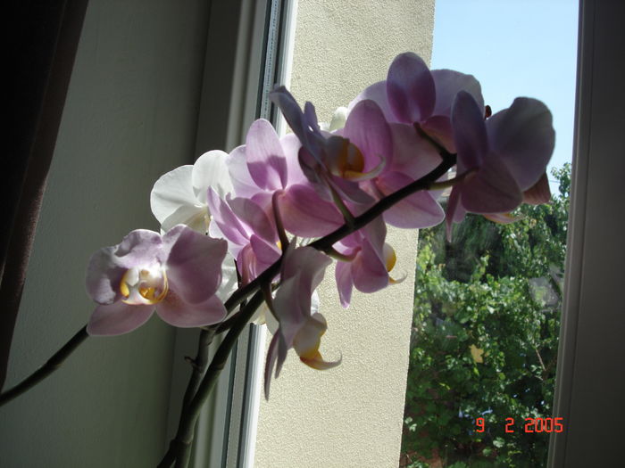 DSC07787