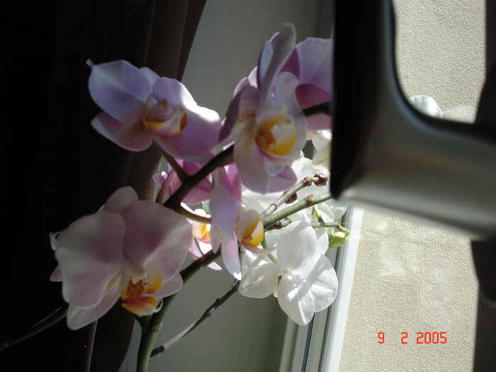 DSC07788
