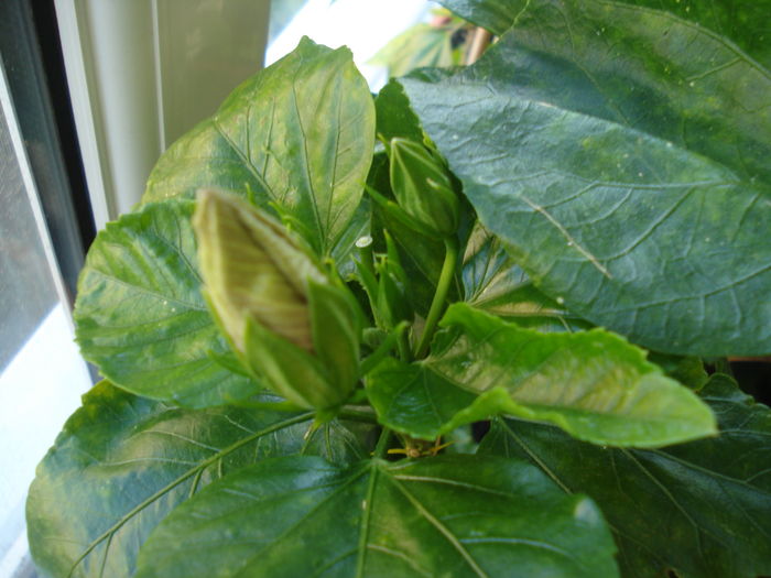 DSC05908