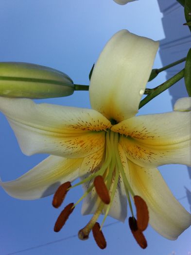 20160711_171634