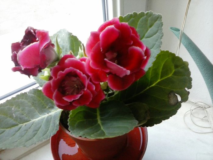 image-7251faca2cb8df22a0501eeb5bcaa1c40ad121cdb0dde68db44669fa344eb1aa-V