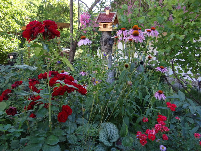 Bonjour Jardin